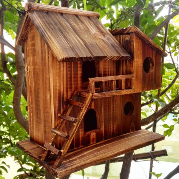 Bird House 2