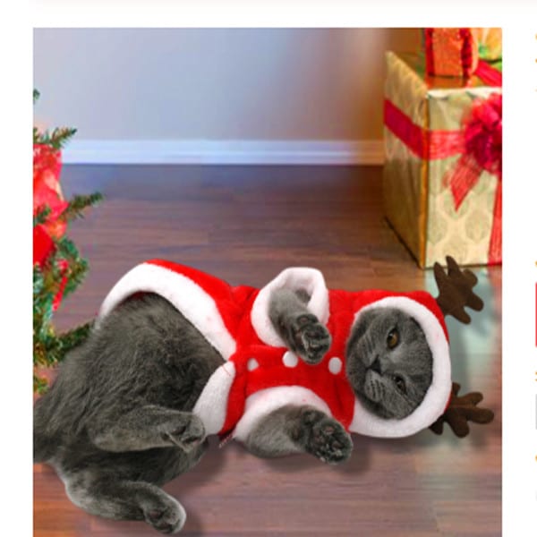 Christmas Cat Dog Santa Hoodie 1