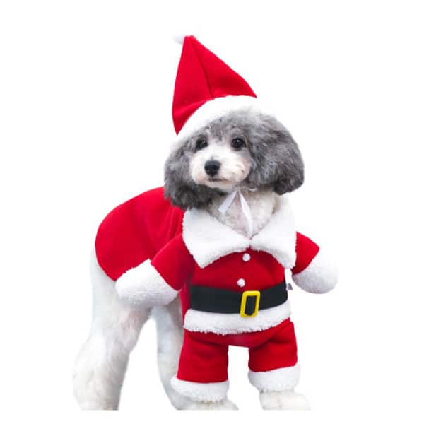 Christmas Dog Santa Suit