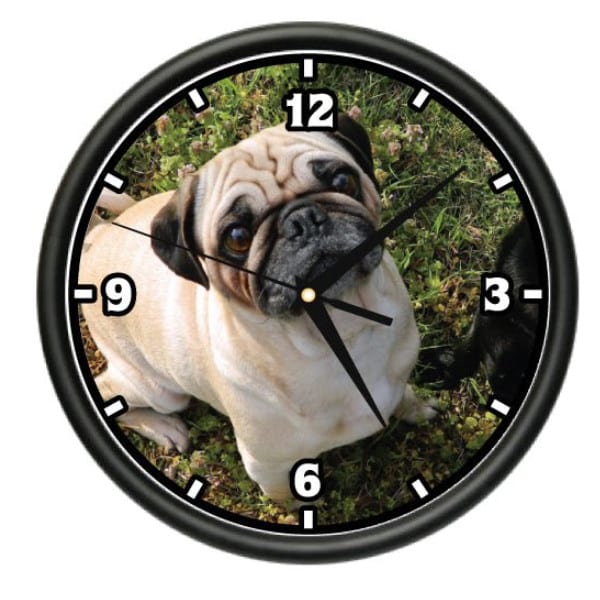Pug Face Wall Clock