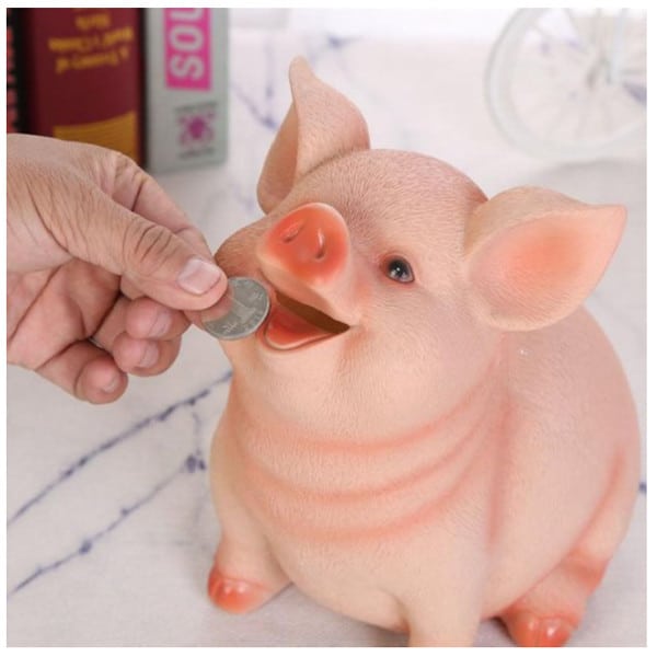 Pig Bank 2